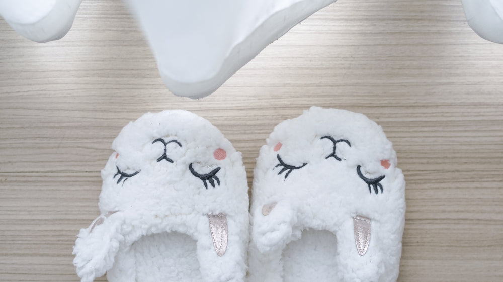 THE SLIPPER STORY