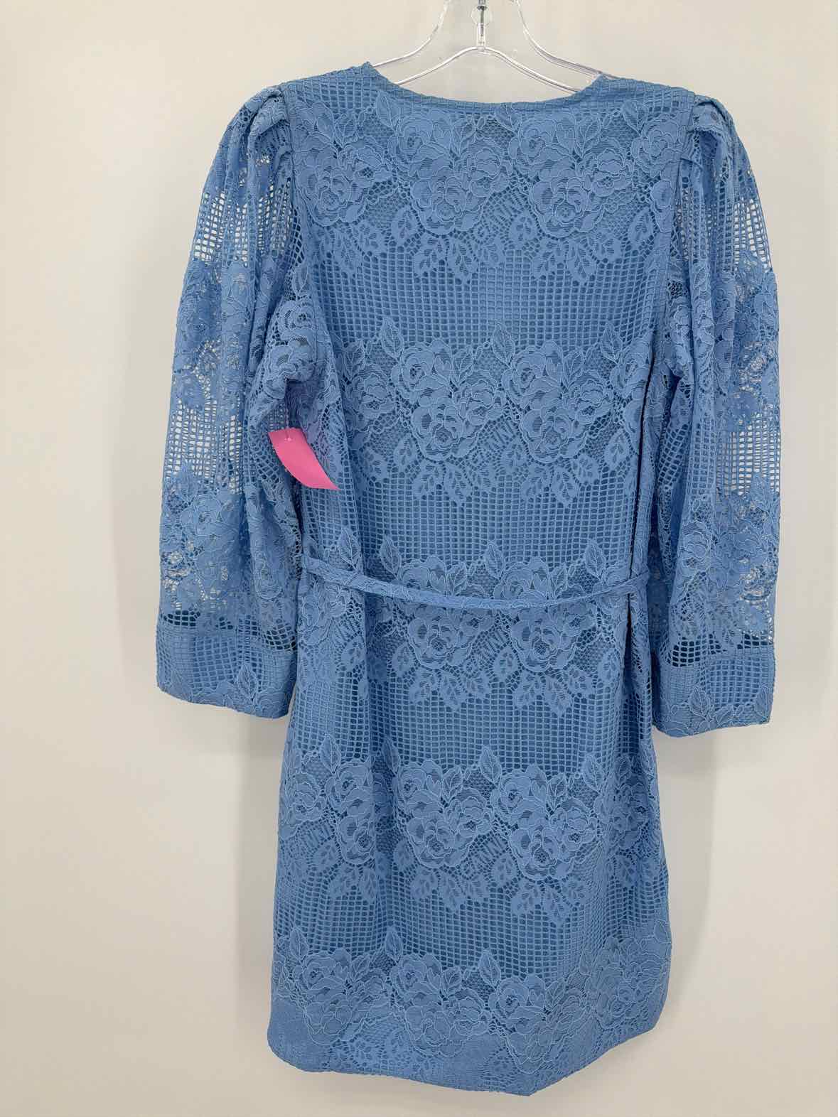Pre-Owned Ganni Blue Size 36/4 Lace Short Long Sleeve Dress | True Fashionistas.