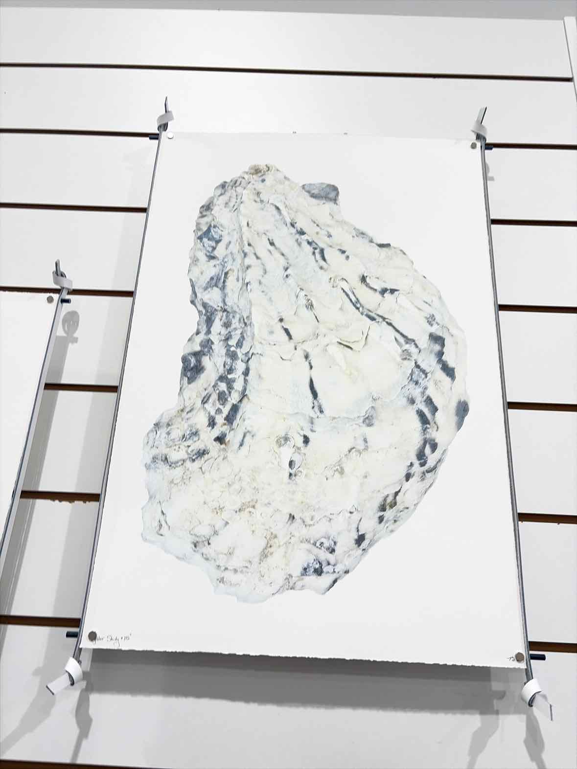 Barloga Studios Gray Oyster Study #15 Paper Art Work | True Fashionistas.