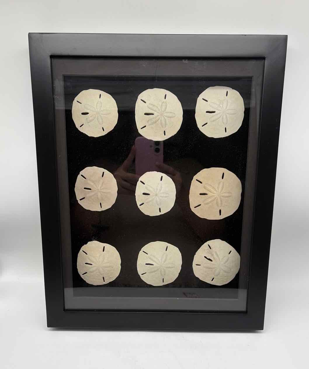 Sanddollar Shadow Box Art Work | True Fashionistas.