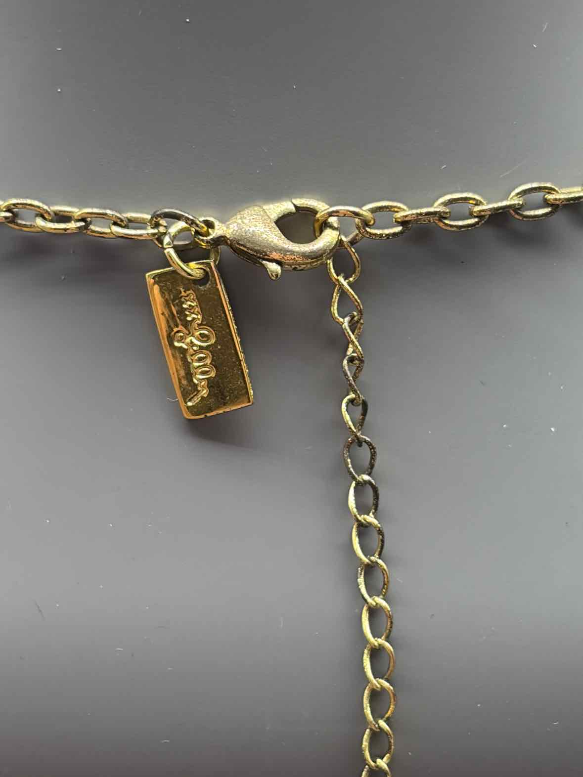 Lilly Pulitzer Gold Luck Charm Necklace | True Fashionistas.