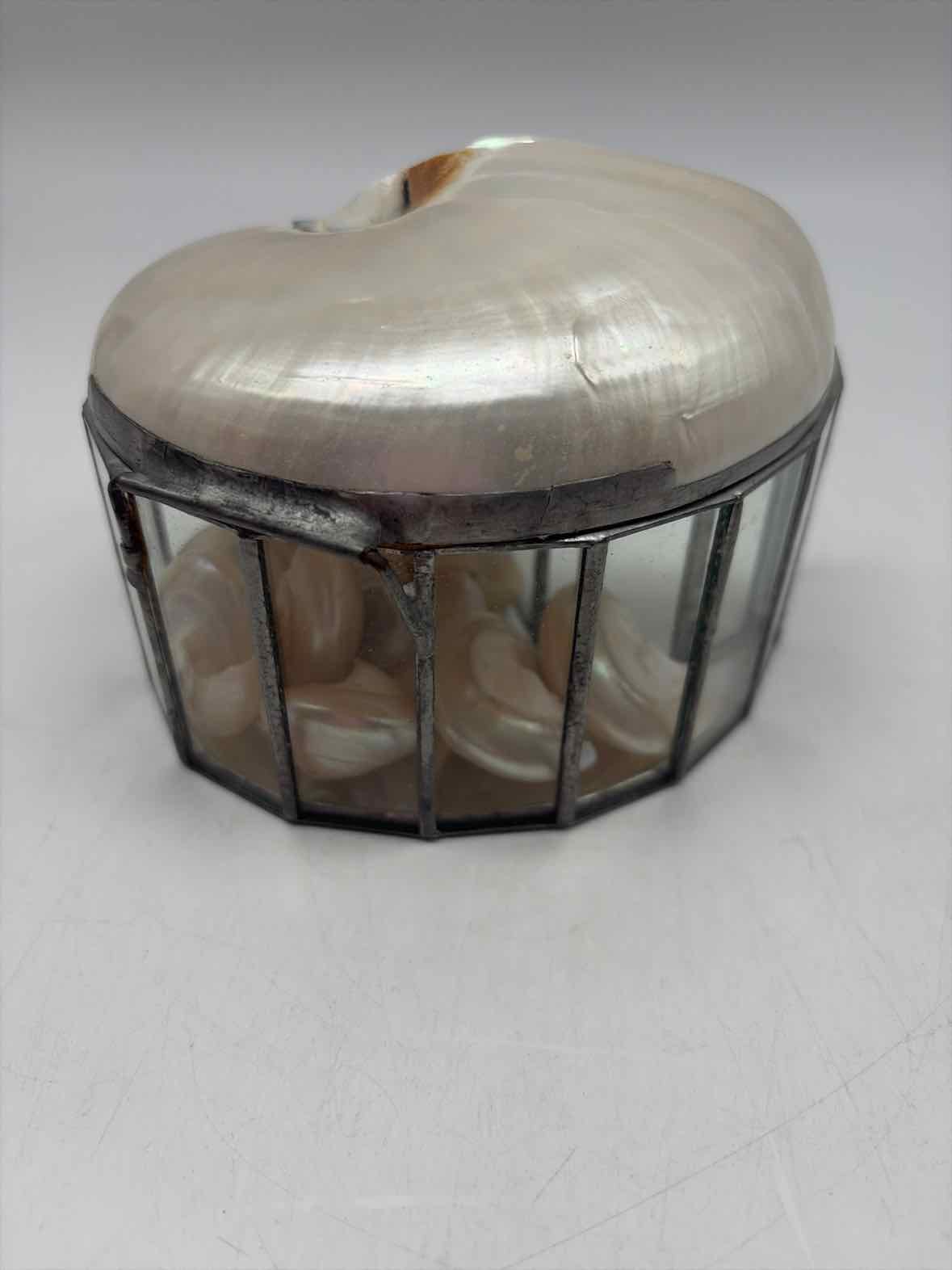 Rare Nautilus Trinket Shell Box | True Fashionistas.