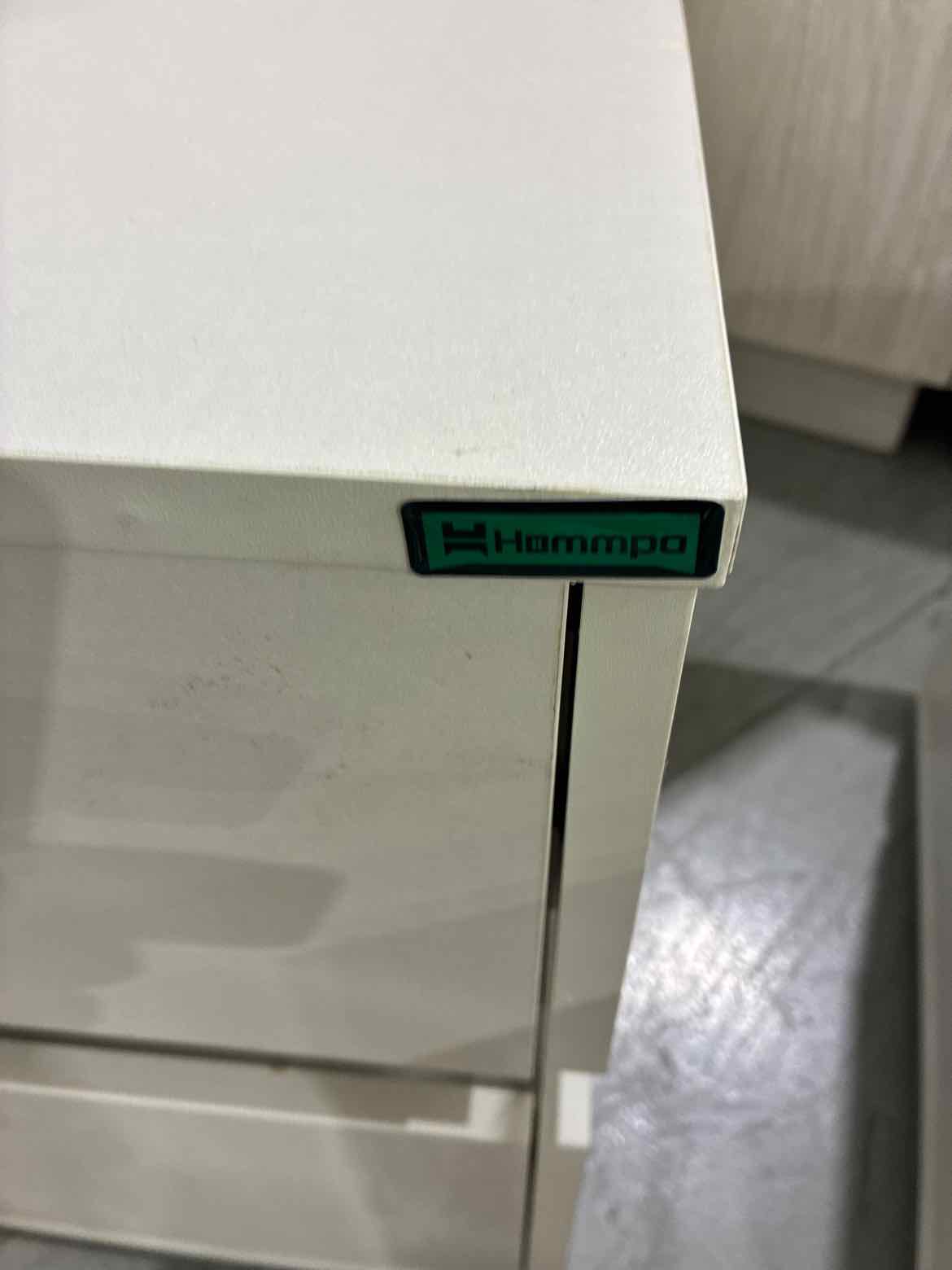 Hammpa White Wood 2 Drawer Nightstand | True Fashionistas.