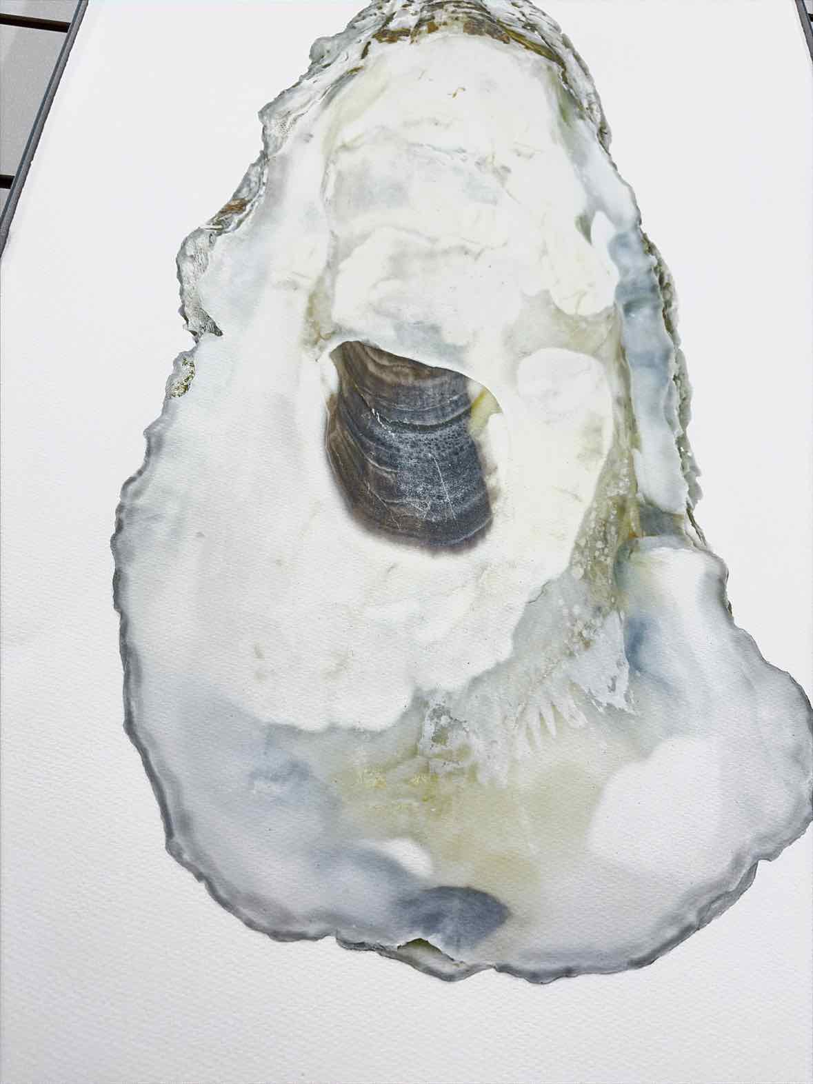 Barloga Studios Gray Oyster Study #11 Paper Art Work | True Fashionistas.