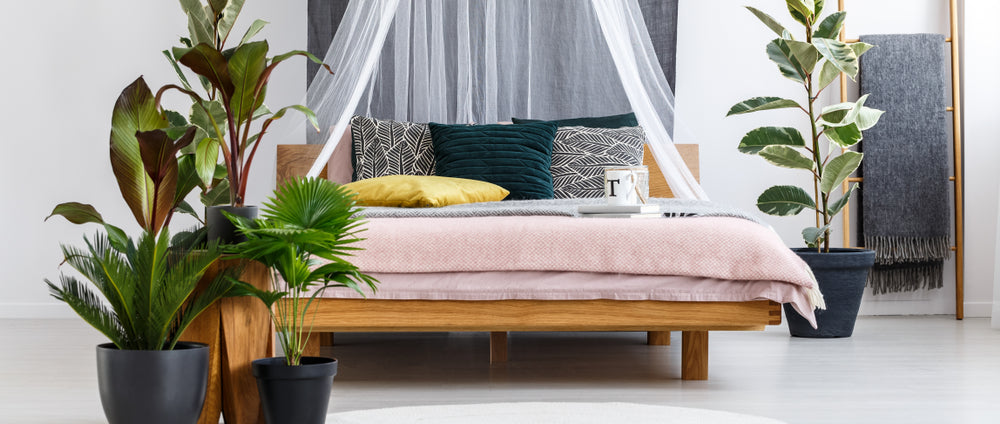 INTERIOR DESIGN TRENDS FOR 2020