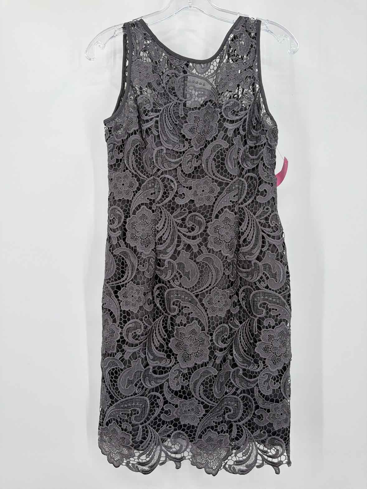 Pre-Owned Adrianna Papell Grey Size 4 Lace Cocktail Short Evening Gown | True Fashionistas.