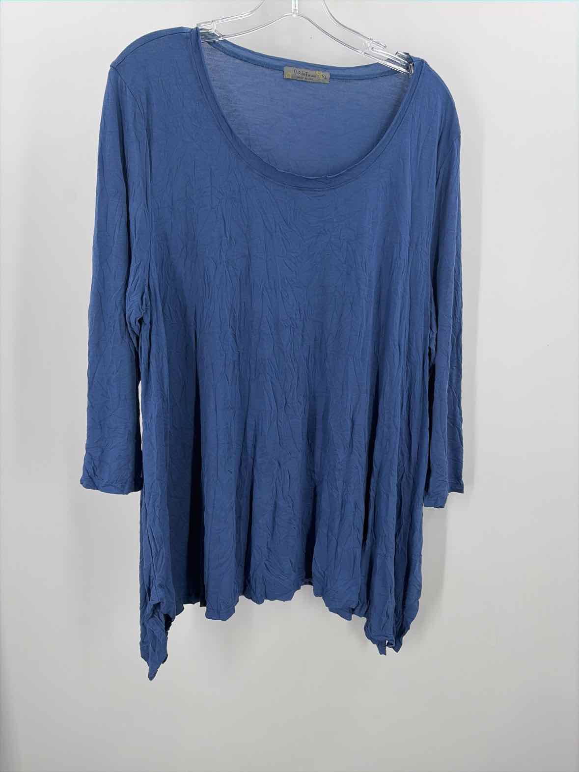 Chalet Blue Size XL Tunic | True Fashionistas.