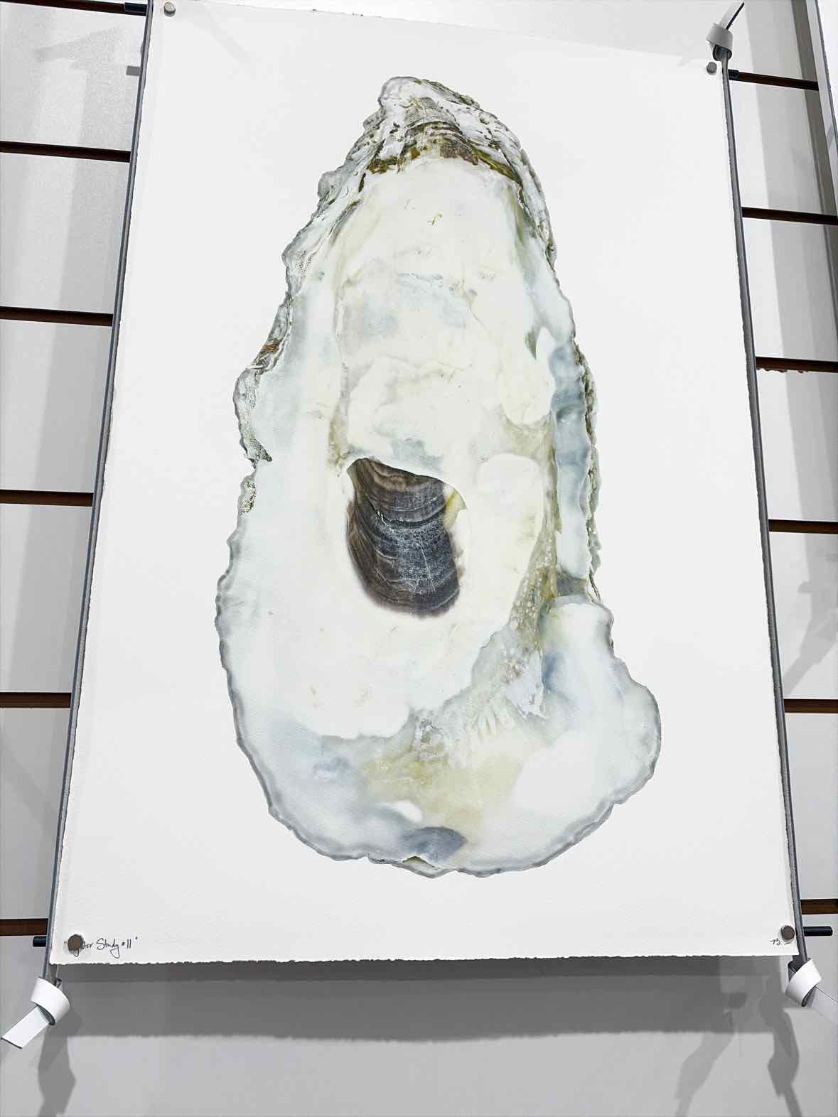 Barloga Studios Gray Oyster Study #11 Paper Art Work | True Fashionistas.