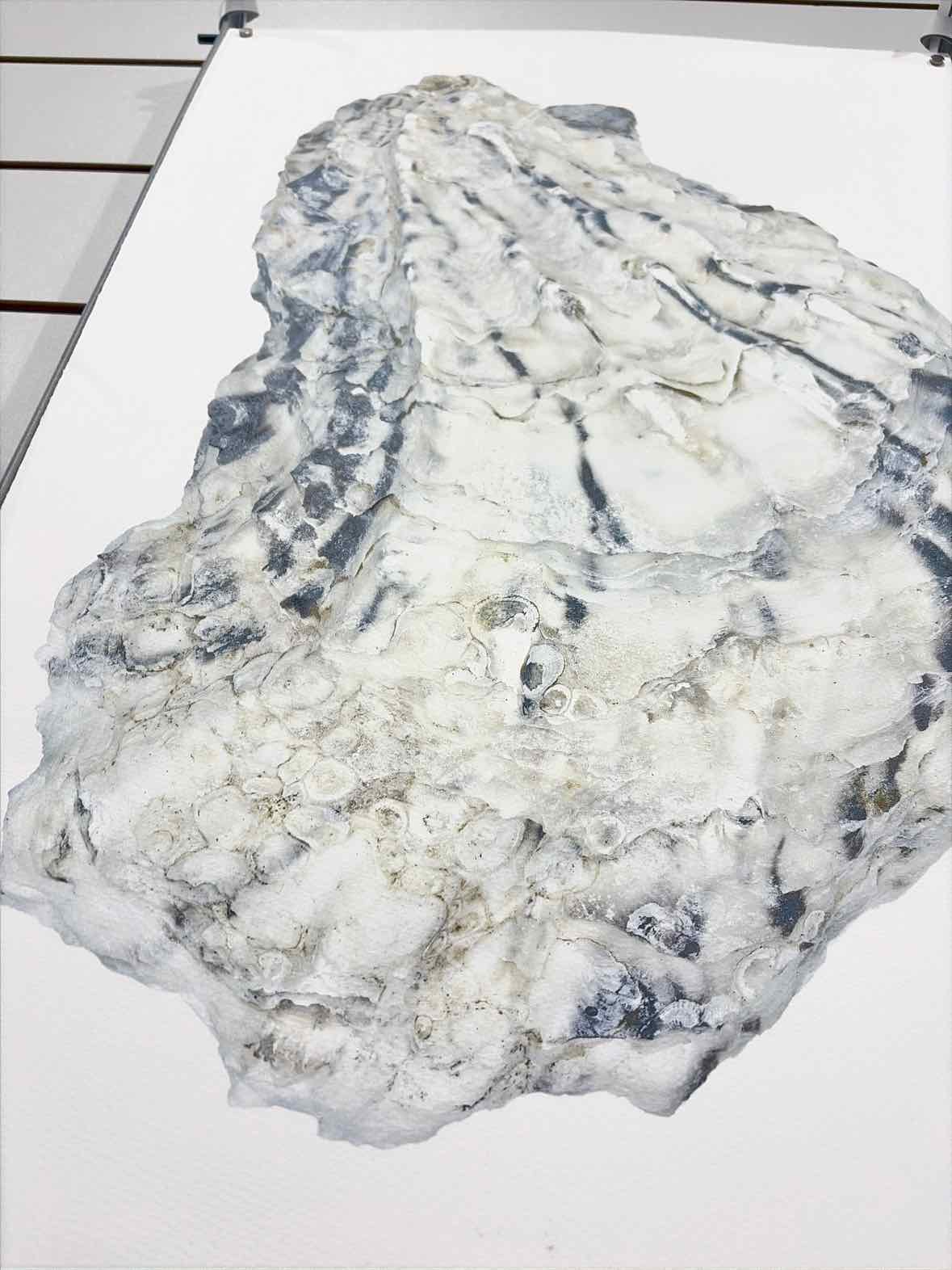Barloga Studios Gray Oyster Study #15 Paper Art Work | True Fashionistas.