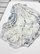 Barloga Studios Gray Oyster Study #15 Paper Art Work | True Fashionistas.