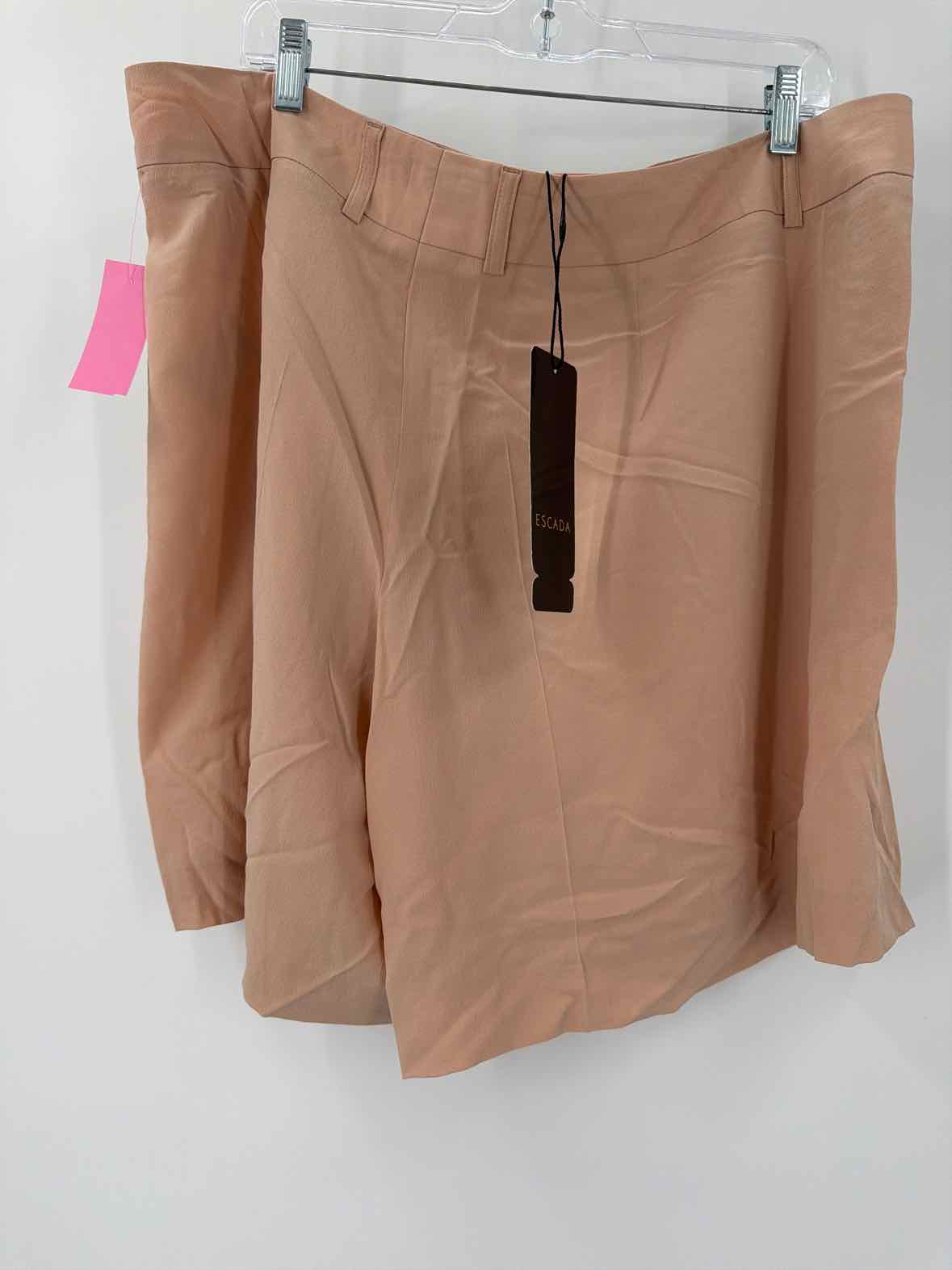 Pre-Owned Escada Pink Size 46 Basic Shorts | True Fashionistas.