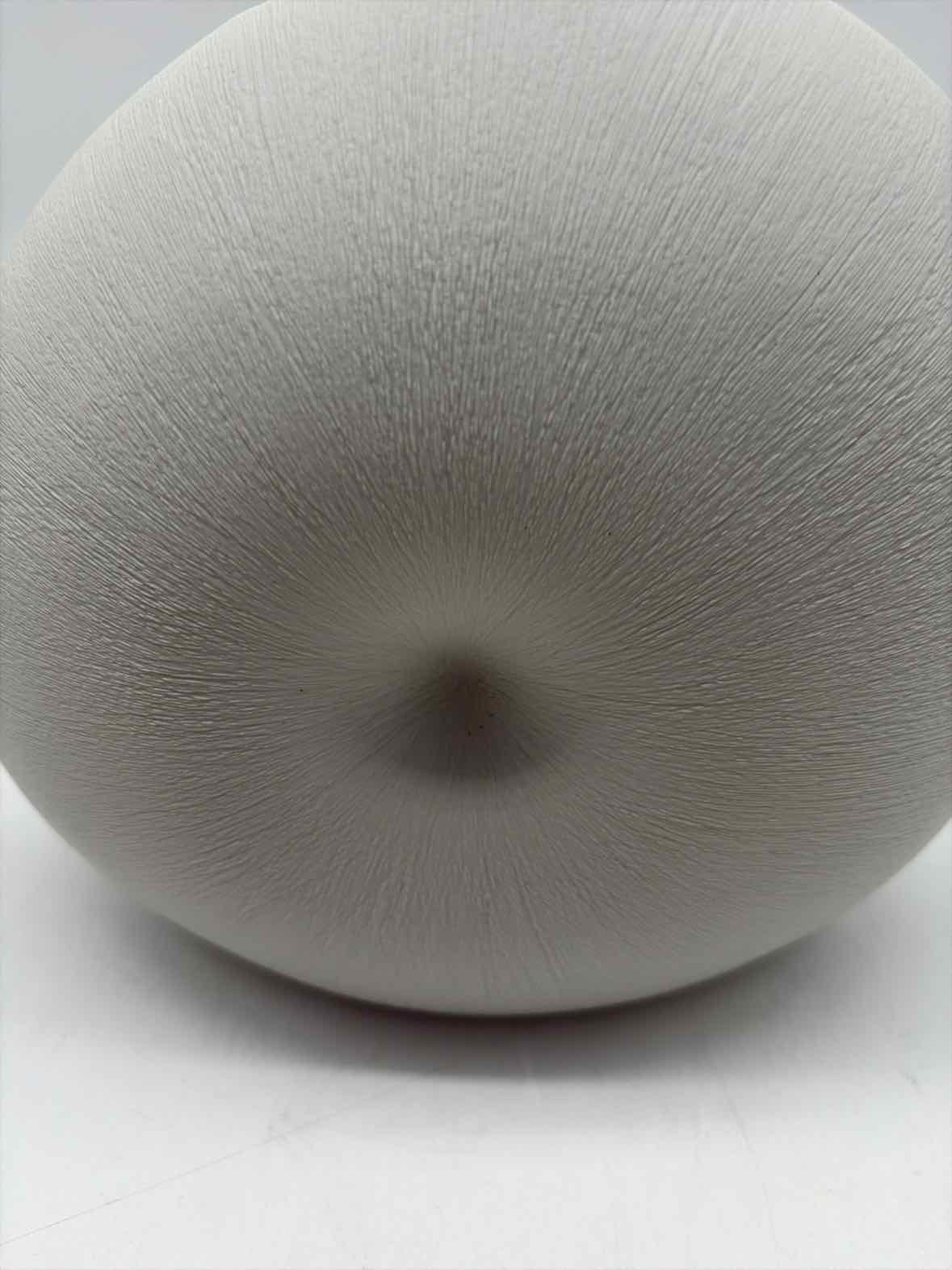 Beige Shell Vase | True Fashionistas.