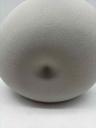 Beige Shell Vase | True Fashionistas.
