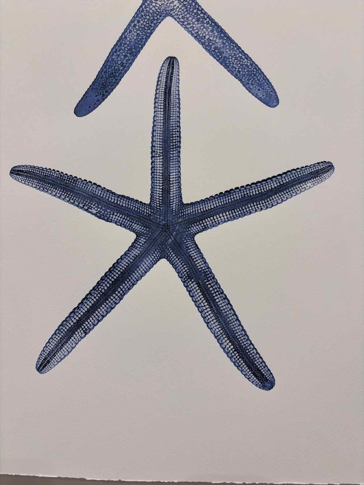 Blue Paper Double Starfish Art Work | True Fashionistas.