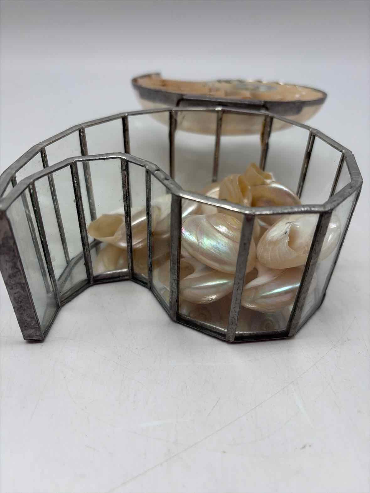 Rare Nautilus Trinket Shell Box | True Fashionistas.