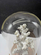 White Coral In Glass Dome | True Fashionistas.