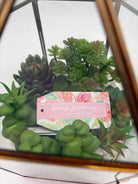 Glass & Brass Terrarium Decorative Accessory | True Fashionistas.