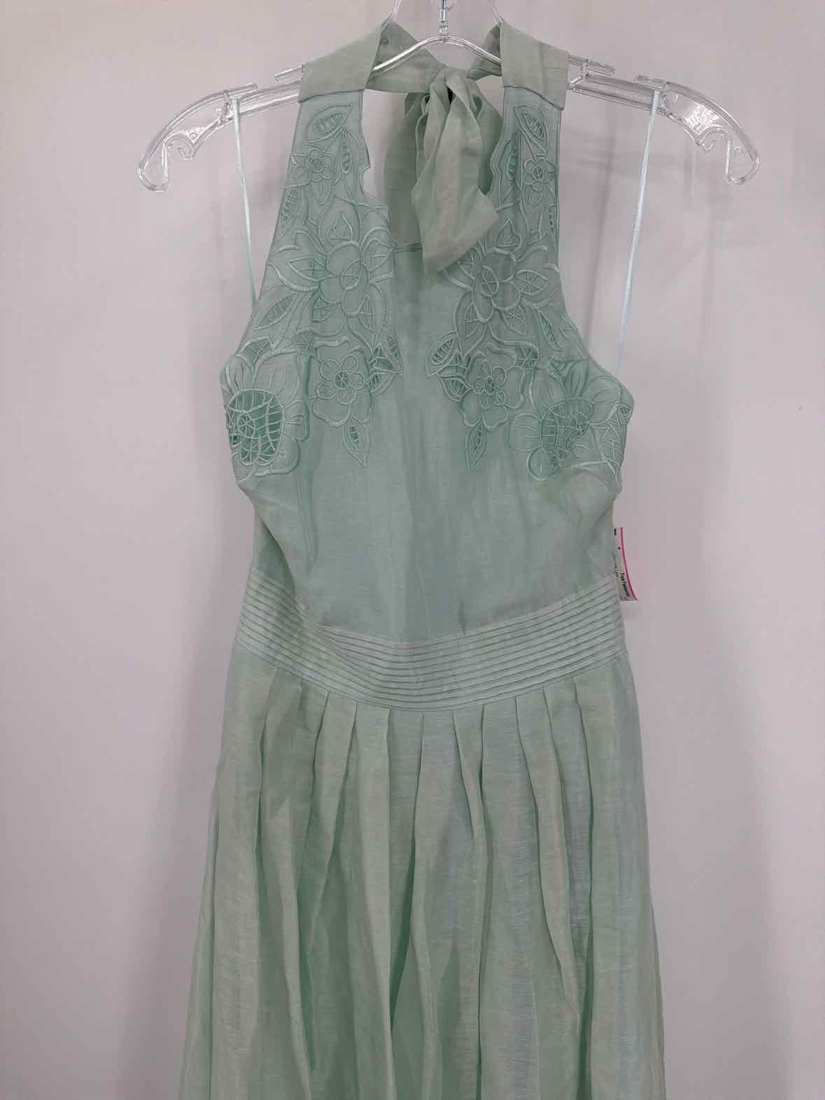Pre-Owned Christy Lynn Blue Size XS Long Sleeveless Dress | True Fashionistas.