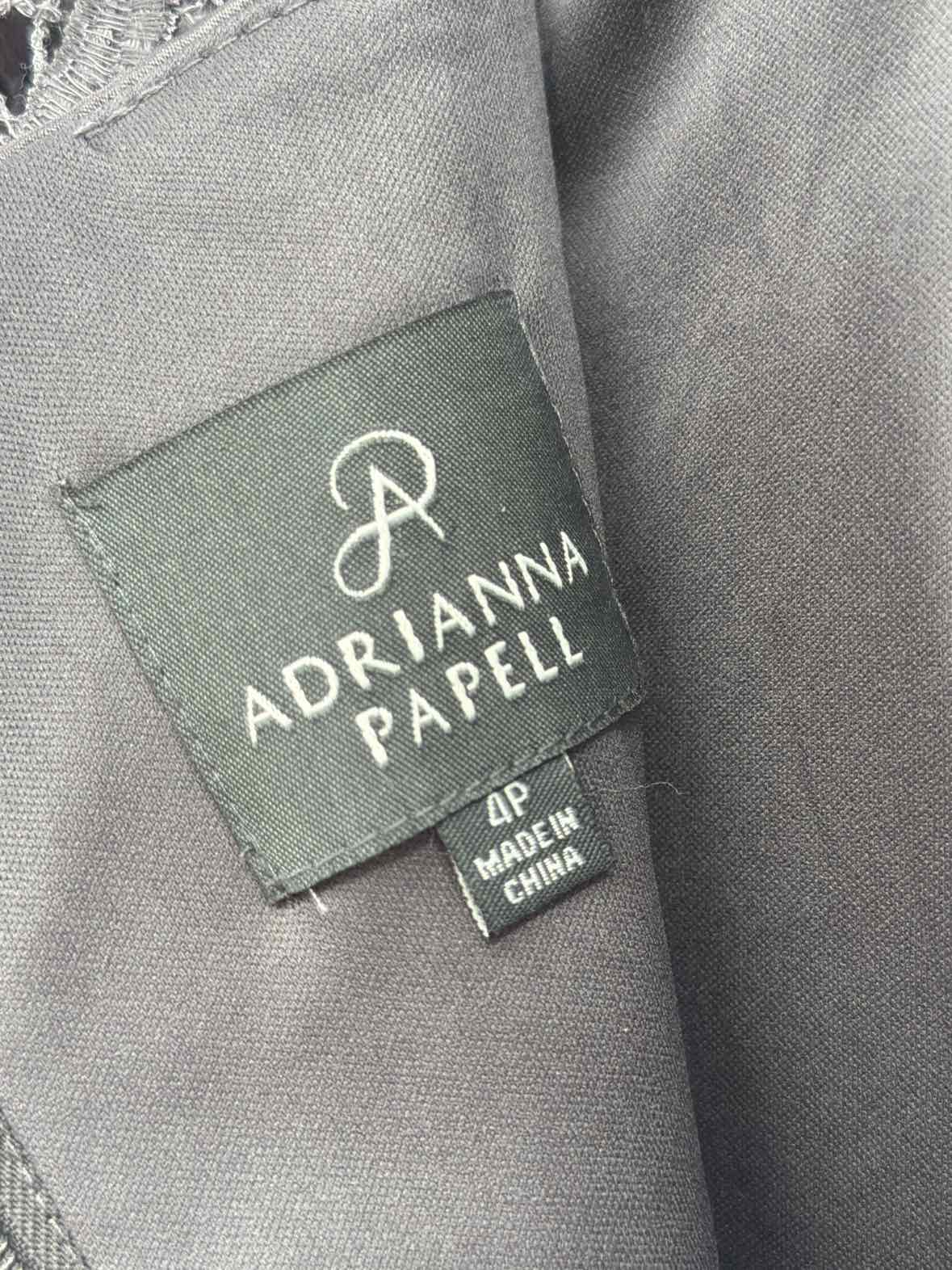 Pre-Owned Adrianna Papell Grey Size 4 Lace Cocktail Short Evening Gown | True Fashionistas.