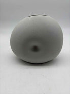 Beige Shell Vase | True Fashionistas.