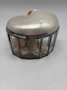 Rare Nautilus Trinket Shell Box | True Fashionistas.