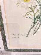 Green Paper Chrysanthemum Art Work | True Fashionistas.