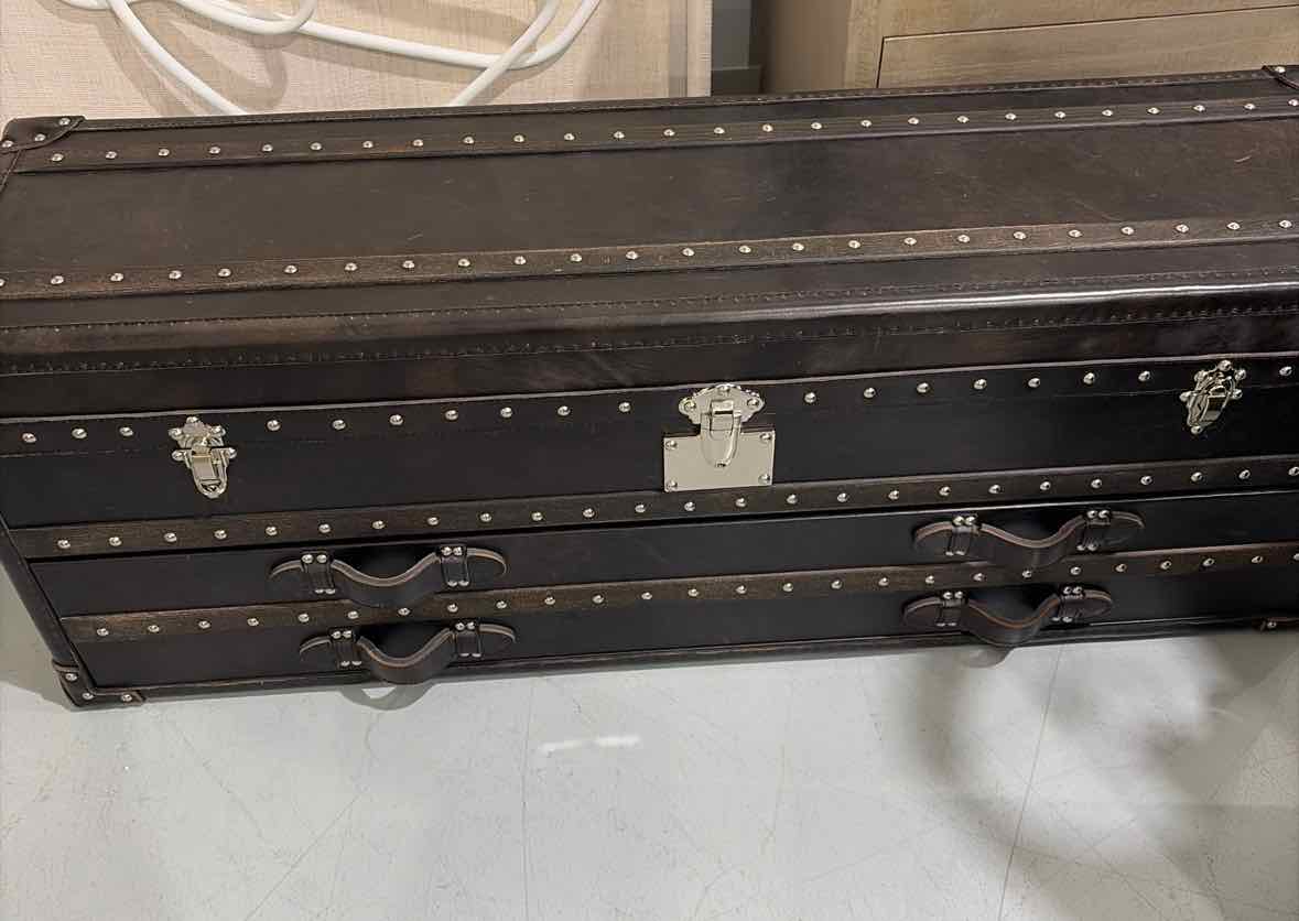 Brown Leather Decorative chest | True Fashionistas.