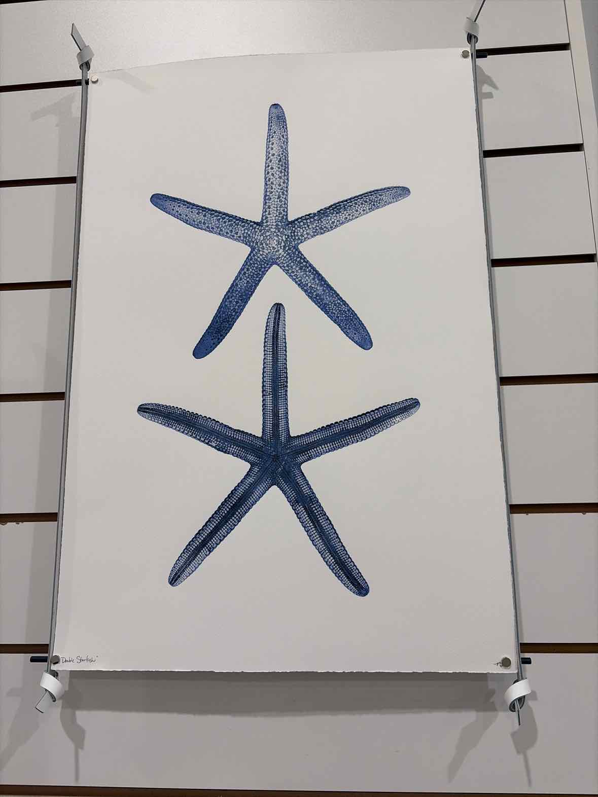 Blue Paper Double Starfish Art Work | True Fashionistas.