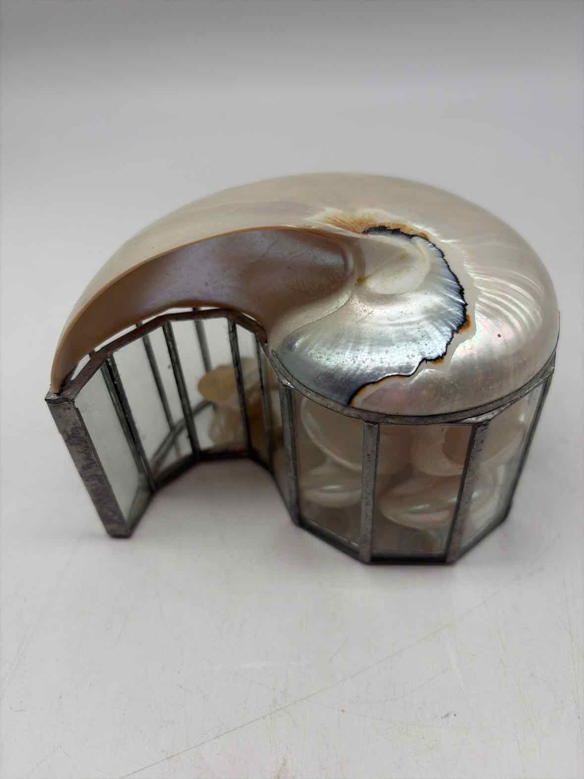 Rare Nautilus Trinket Shell Box | True Fashionistas.