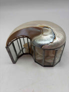 Rare Nautilus Trinket Shell Box | True Fashionistas.