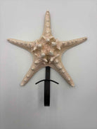 Cream & Black Capiz Decorative Accessory | True Fashionistas.