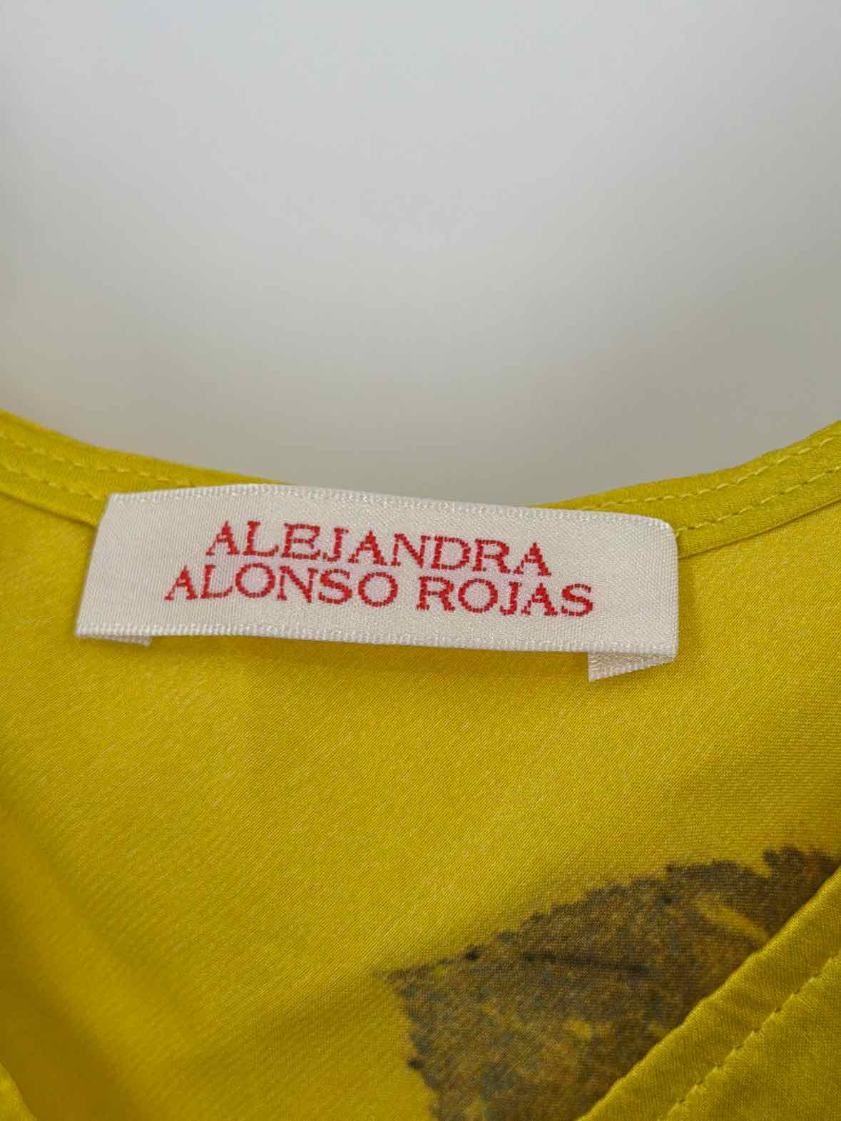 Pre-Owned Alejandra Alonso Rojas Yellow Size Large Long Sleeveless Dress | True Fashionistas.