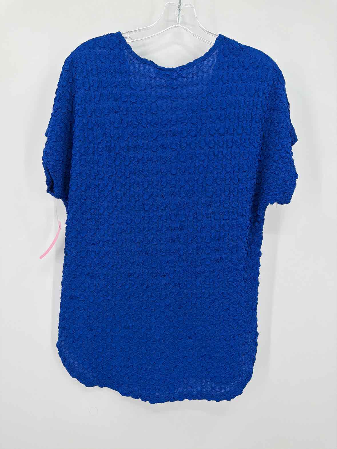 Pre-Owned Ethyl Blue Size Medium Blouse | True Fashionistas.