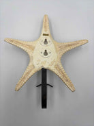 Cream & Black Capiz Decorative Accessory | True Fashionistas.