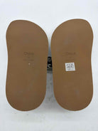 Pre-Owned Chloe Blue Size 11 Slide Sandals | True Fashionistas.