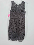 Pre-Owned Adrianna Papell Grey Size 4 Lace Cocktail Short Evening Gown | True Fashionistas.