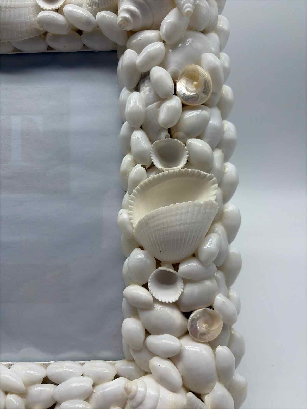 White Shell Picture Frame | True Fashionistas.