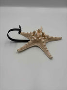 Cream & Black Capiz Decorative Accessory | True Fashionistas.